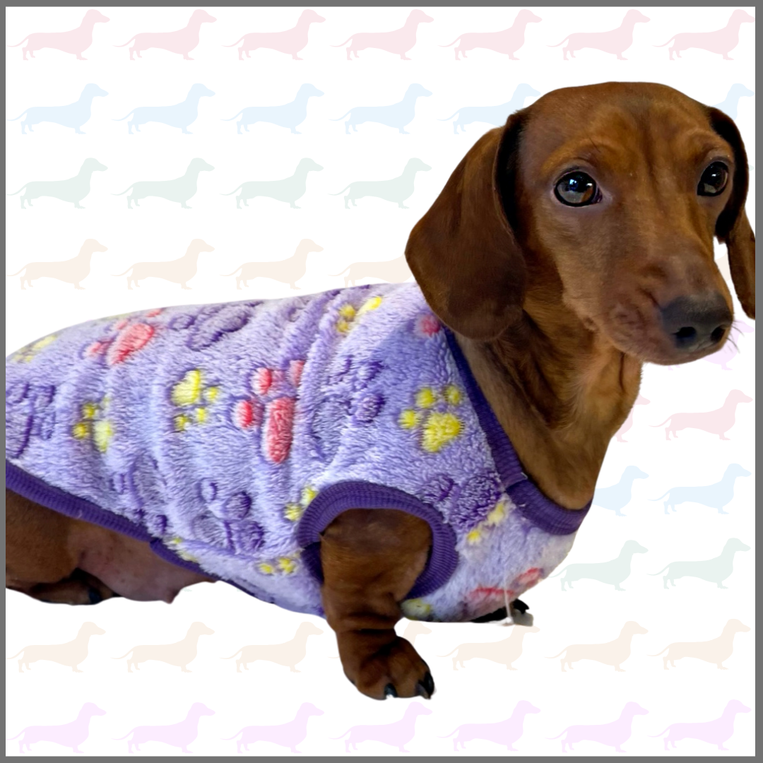 Purple Pitter Patter Paws - Sausage Dog Box Dachshund PJ's/Jumper