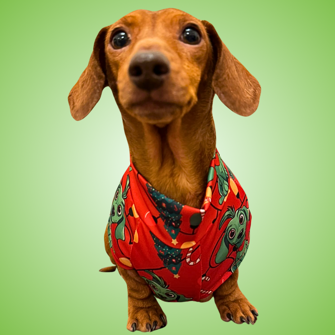 Red Dachshund Christmas Second Skin Tee - ‘Meanie Weenie’ | Sausage Dog Clothes