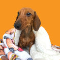 Load image into Gallery viewer, Blanket - Weiner On Wheels
