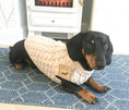 Load image into Gallery viewer, Sausage Dog Box Oatmeal Cosy Cable Knit Dachshund Jumper
