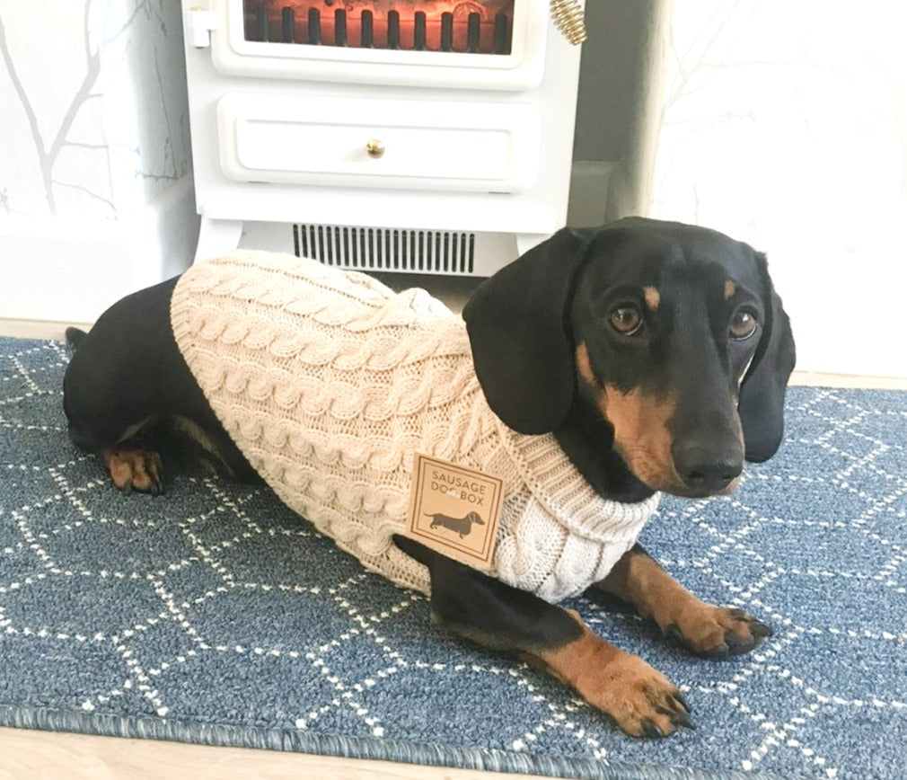 Sausage Dog Box Oatmeal Cosy Cable Knit Dachshund Jumper