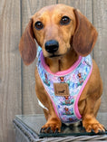 Load image into Gallery viewer, Under The Dox-Sea Anti-Rub Dachshund Harness
