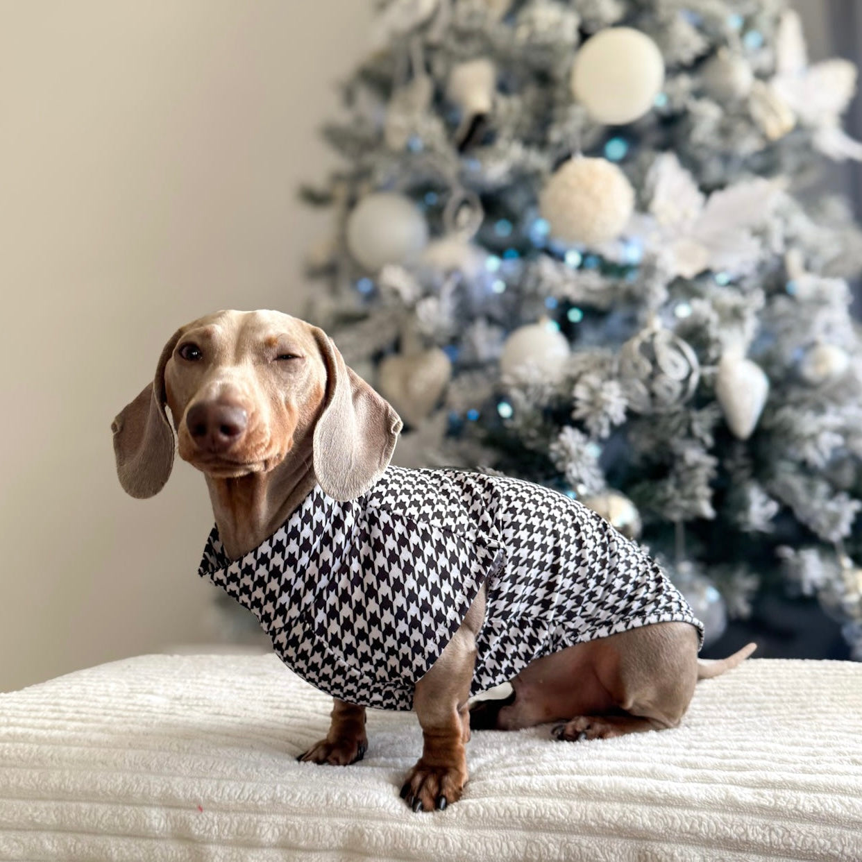 Dachshund Second Skin Tee - ‘Houndstooth’ | Sausage Dog Outfit