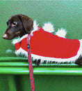 Load image into Gallery viewer, Sausage Dog Box Dachshund Christmas Santa Cape Outfit With Bells
