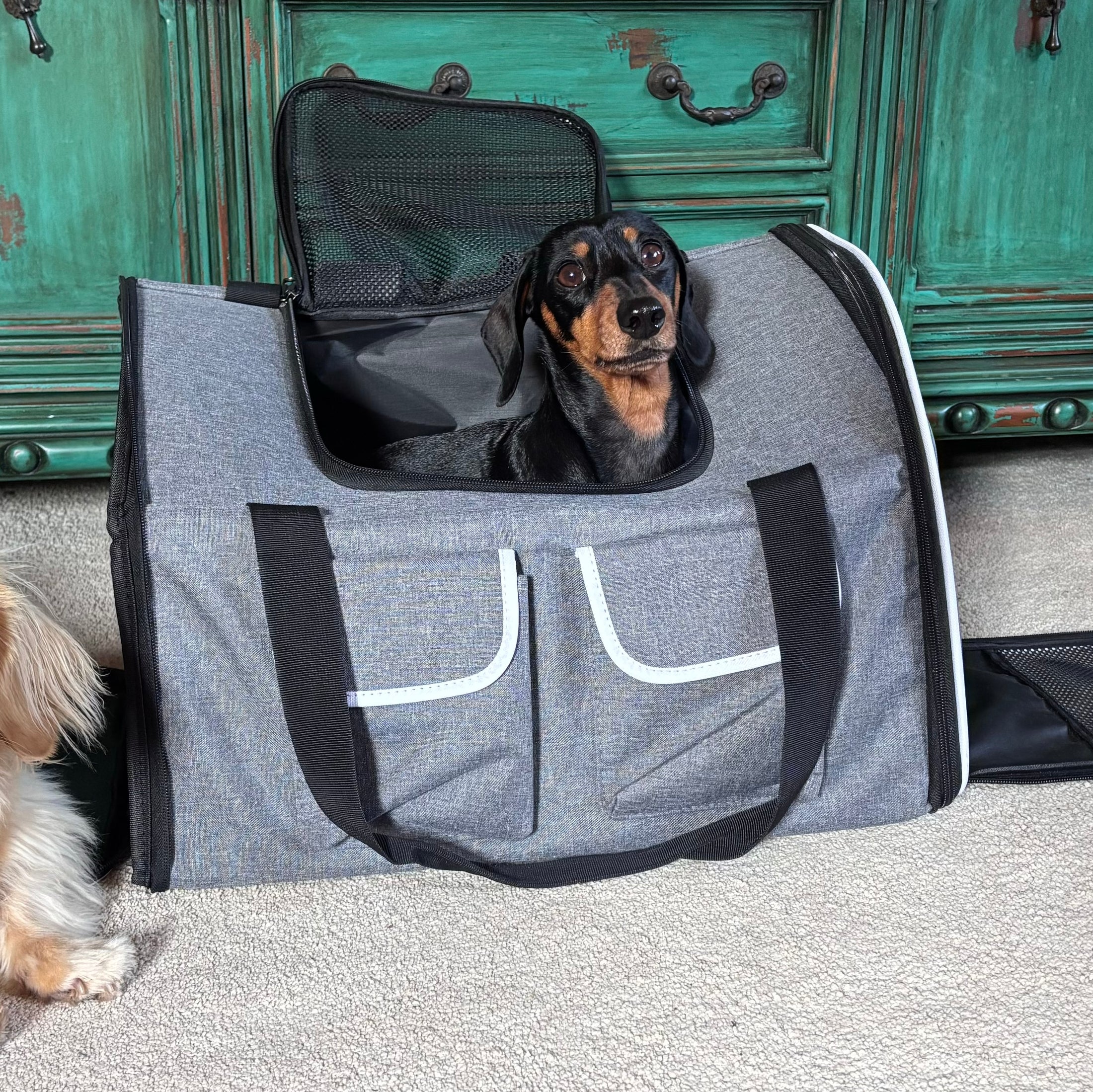 Sausage Dog Box Adventure Dachshund Backpack Carrier Airline Approved Holdall