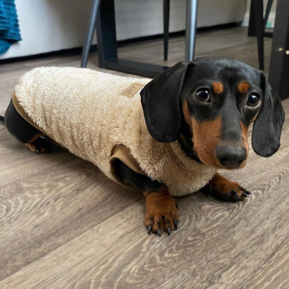 XXS Tiny Puppy Snuggle Dachshund Fleece - 20cm / 8inch Back | Sausage Dog Box
