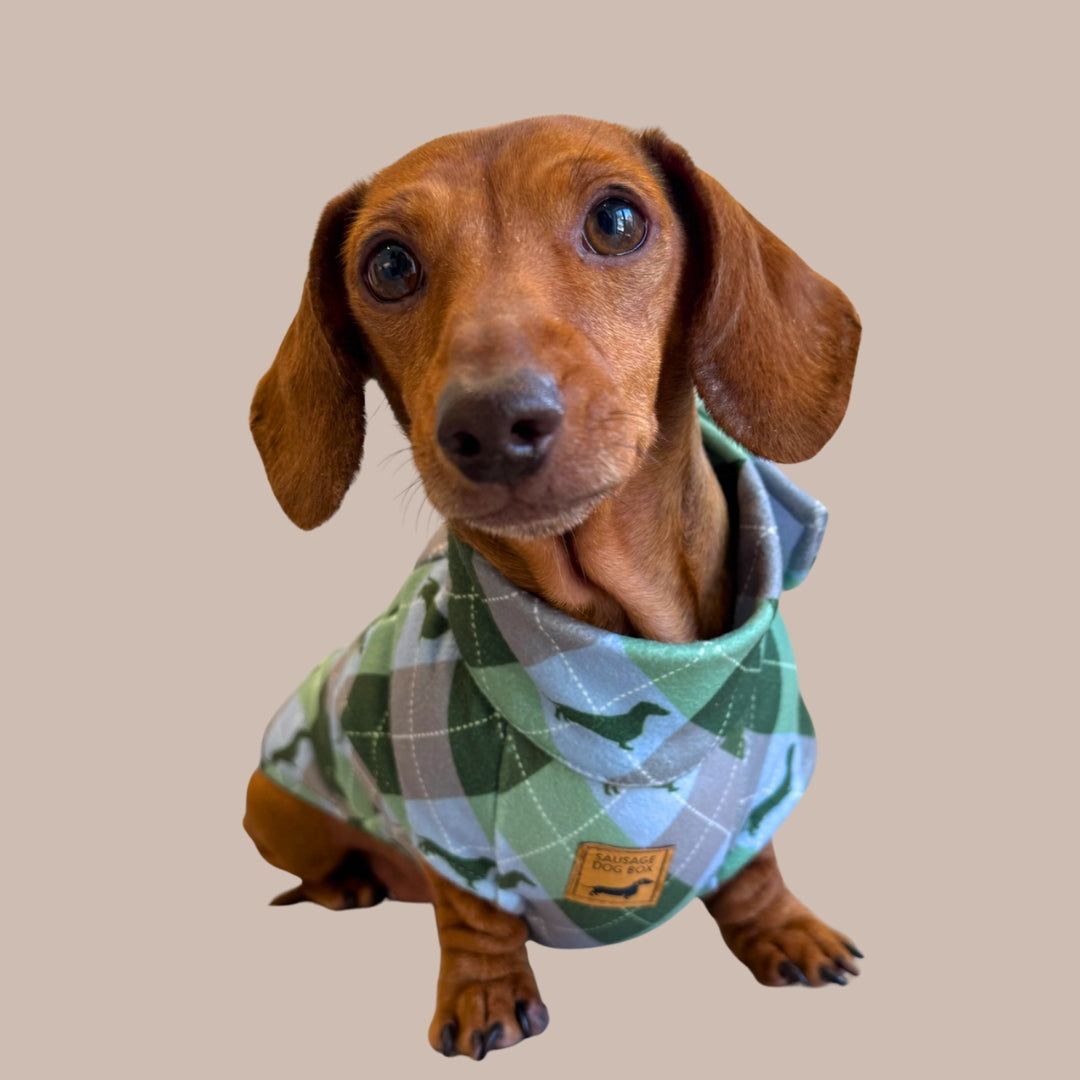 Blue Highland Argyle Fleece Dachshund Long Dog Zipper Jumper