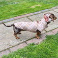 Load image into Gallery viewer, Chestnut Plaid Fleece Dachshund Dog Jumper
