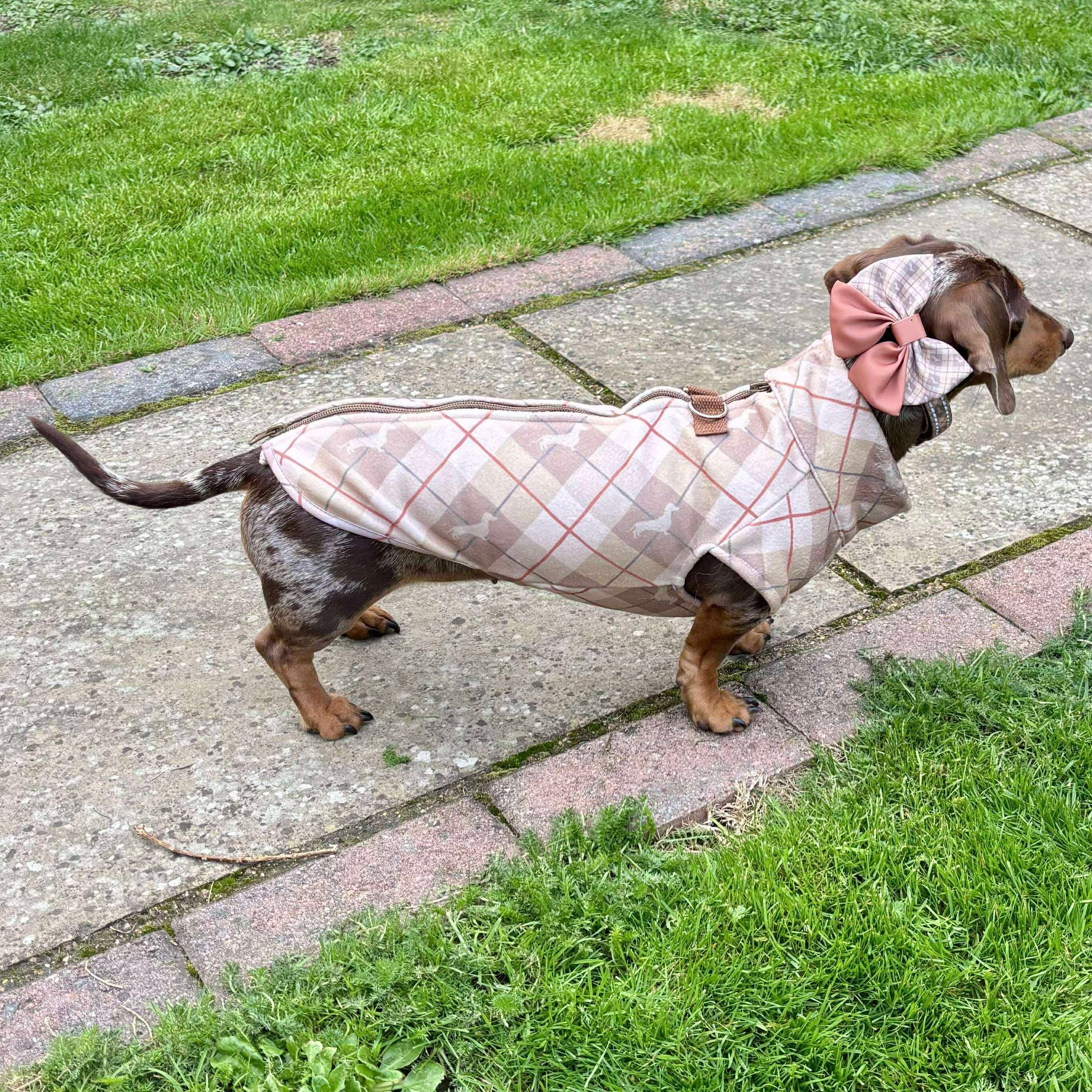 Chestnut Plaid Fleece Dachshund Dog Jumper