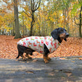 Load image into Gallery viewer, Frosty Sausages Christmas Dachshund Jumper - Long Dog Zipper Fleece
