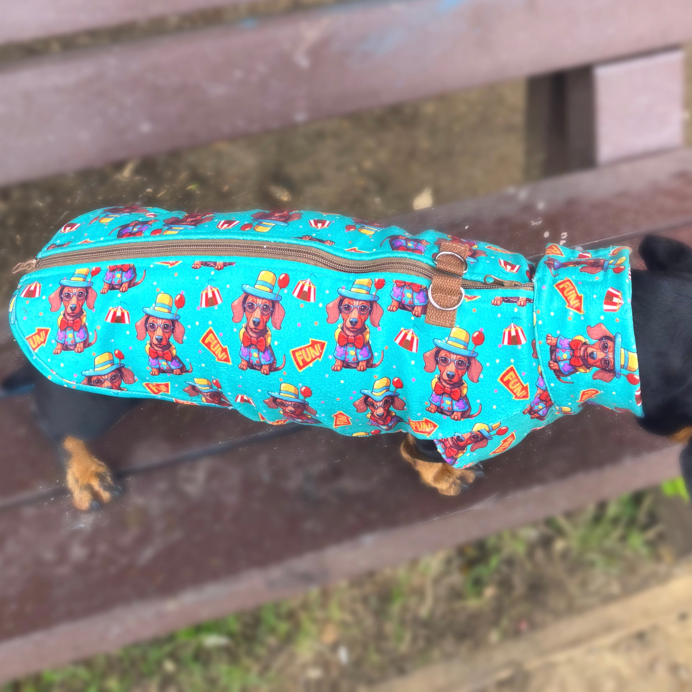 Top Dog Teal Circus Dachshund Fleece Jumper / Sweater | Sausage Dog Box