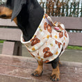 Load image into Gallery viewer, Honey Bear Sausage Dog Fleece Jumper - Long Dog Zipper
