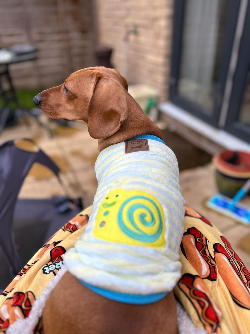Speedy Snail - Sausage Dog Box Dachshund PJ's/Jumper