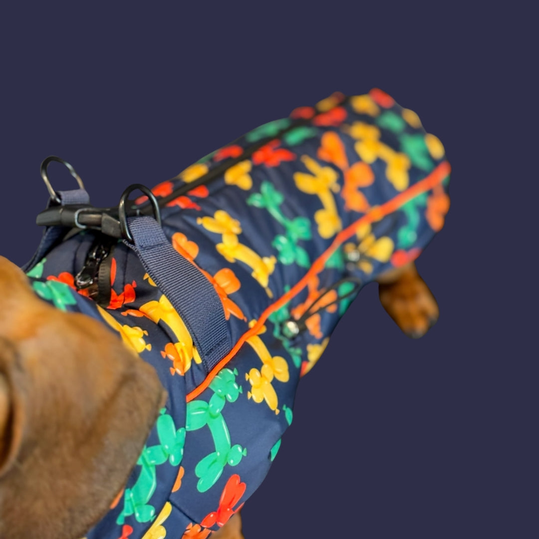 Navy Thermal Dachshund Puffer Coat With Inbuilt Harness Balloon Sausage Dog