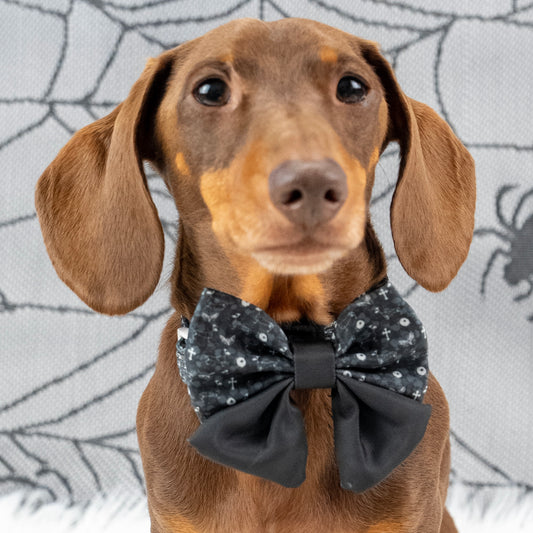 Black Twilight Doxie Sailor Bow for Dogs