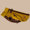 Load image into Gallery viewer, Golden Acorn Waterproof Dachshund Harness Fleece | Sausage Dog Box DoxieDri
