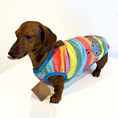 Load image into Gallery viewer, PJ's/Jumper - Colourful Caterpillar
