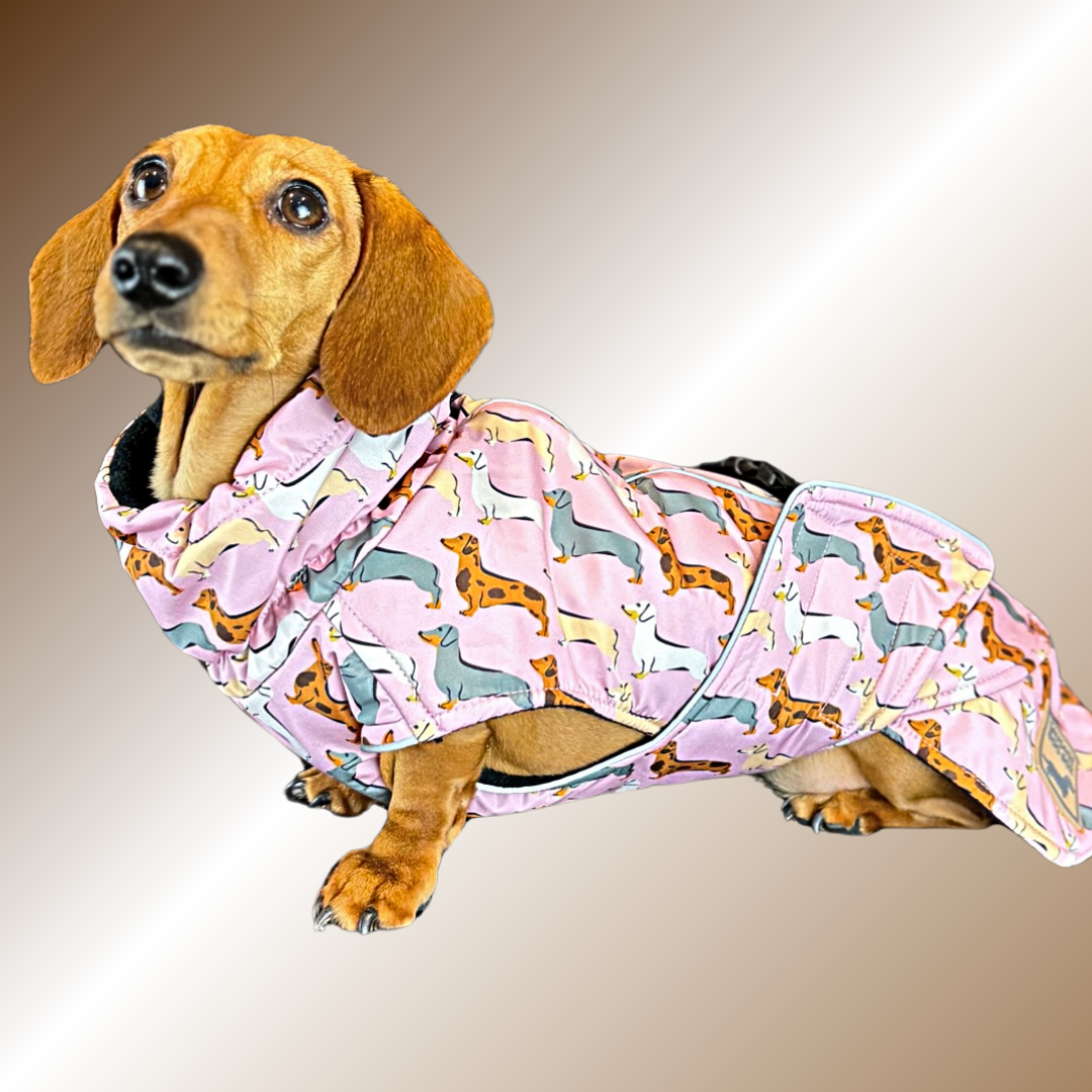Pink Sophisticated Sausage Waterproof Polartec Fleece Dachshund Dog Coat