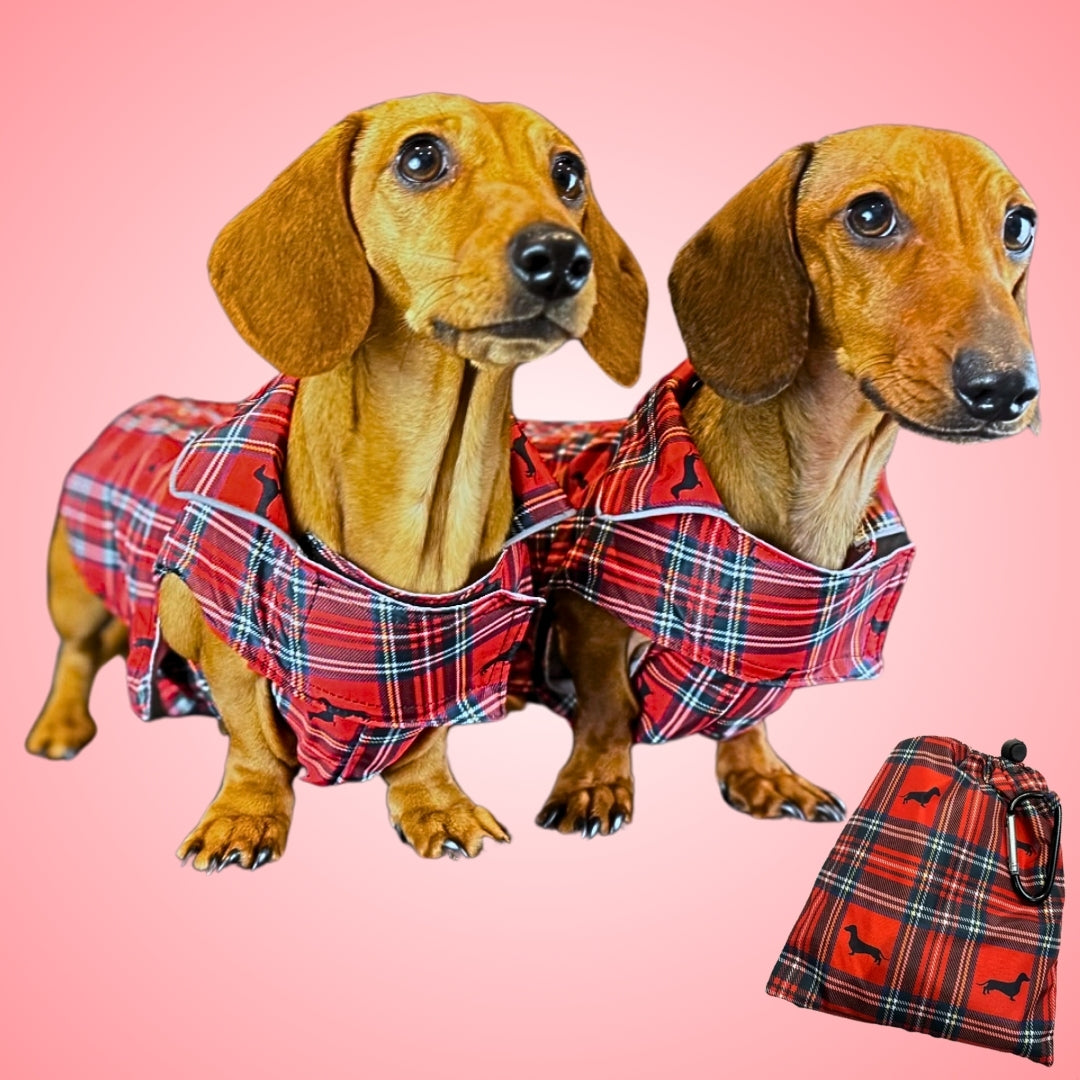 Tart'n Up 'Dach-A-Mac' Dachshund Rain Mac In Bag Sausage Dog Box Folda