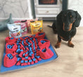 Load image into Gallery viewer, Sausage Dog Box Square Snuffle Mat

