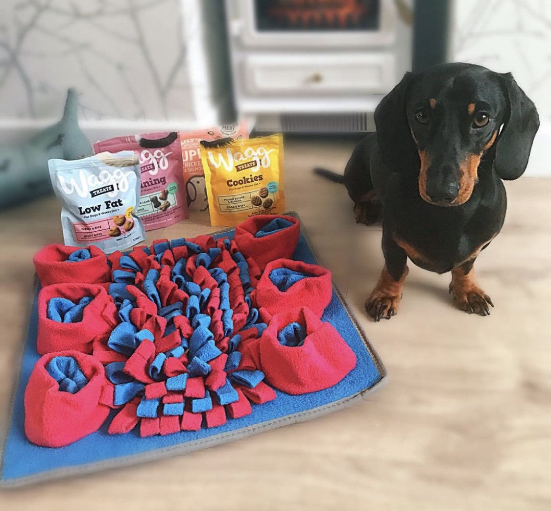 Sausage Dog Box Square Snuffle Mat