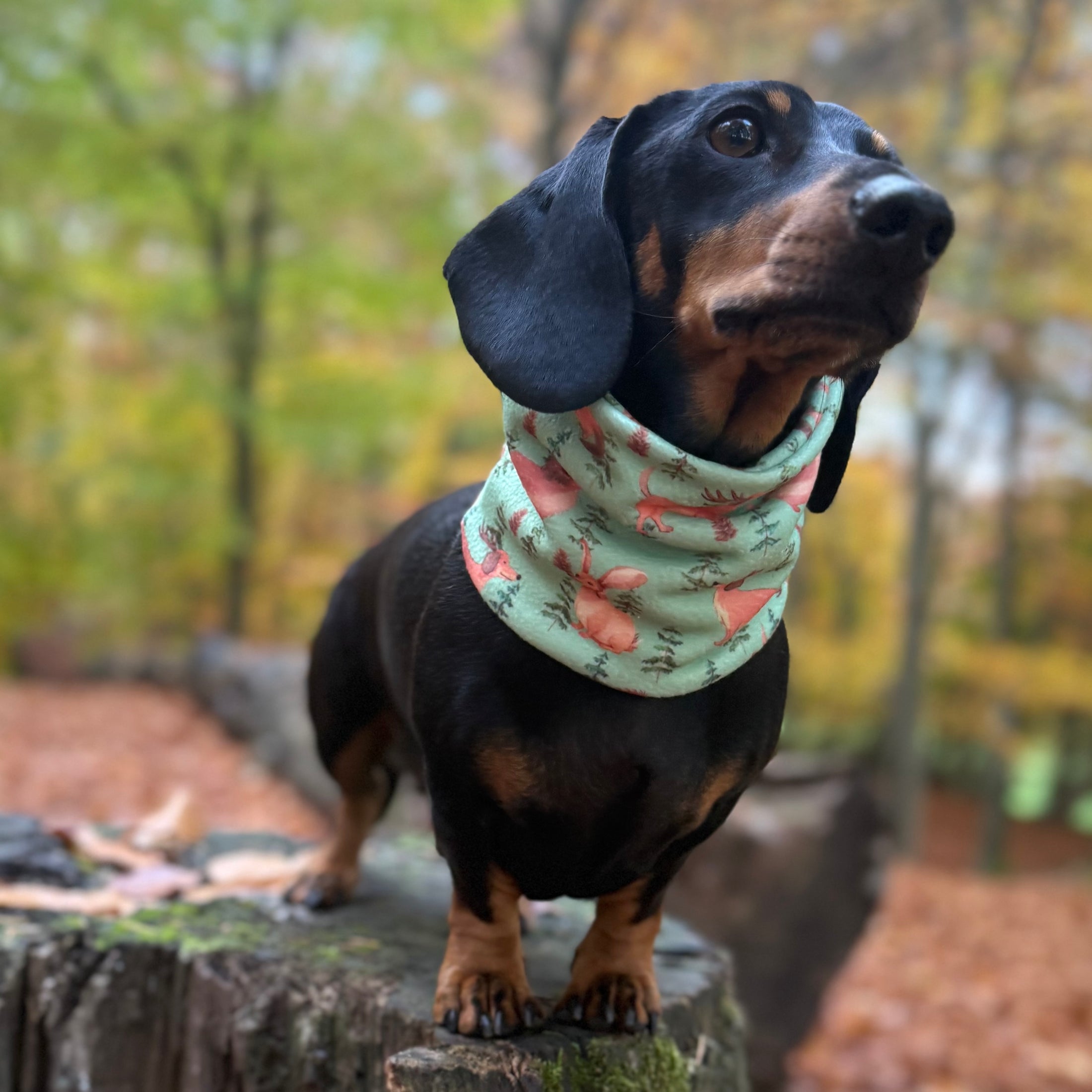 Woodland Weens Dachshund Christmas Dog Snood Scarf