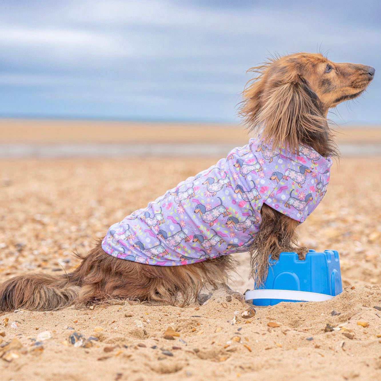 Dachshund In Bloom DoxieCool Dog Cooling Vest for Dachshunds