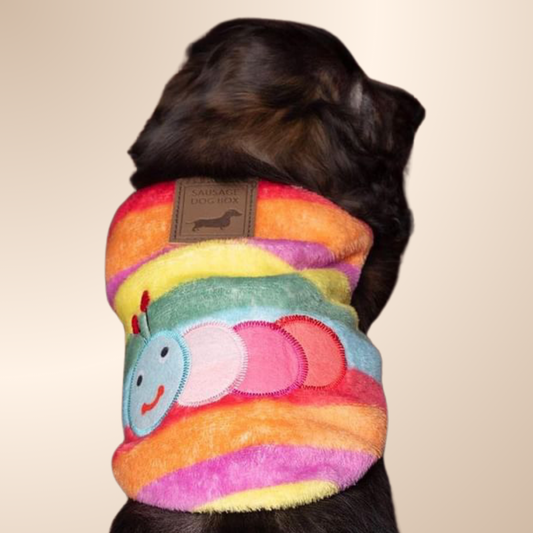 Caterpillar Sausage Dog Box Puppy PJ Jumper