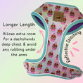 Load image into Gallery viewer, A Dach Of Sweetness Anti-Rub Dachshund Harness - Sausage Dog Box
