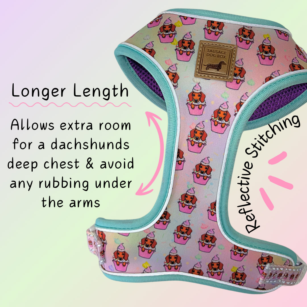 A Dach Of Sweetness Anti-Rub Dachshund Harness - Sausage Dog Box