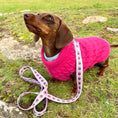 Load image into Gallery viewer, Raspberry Ripple Luxury Cable Knit Dachshund Jumper - Sausage Dog Box
