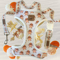 Load image into Gallery viewer, Anti-Rub Dachshund Harness - Ahoy Star Sausage
