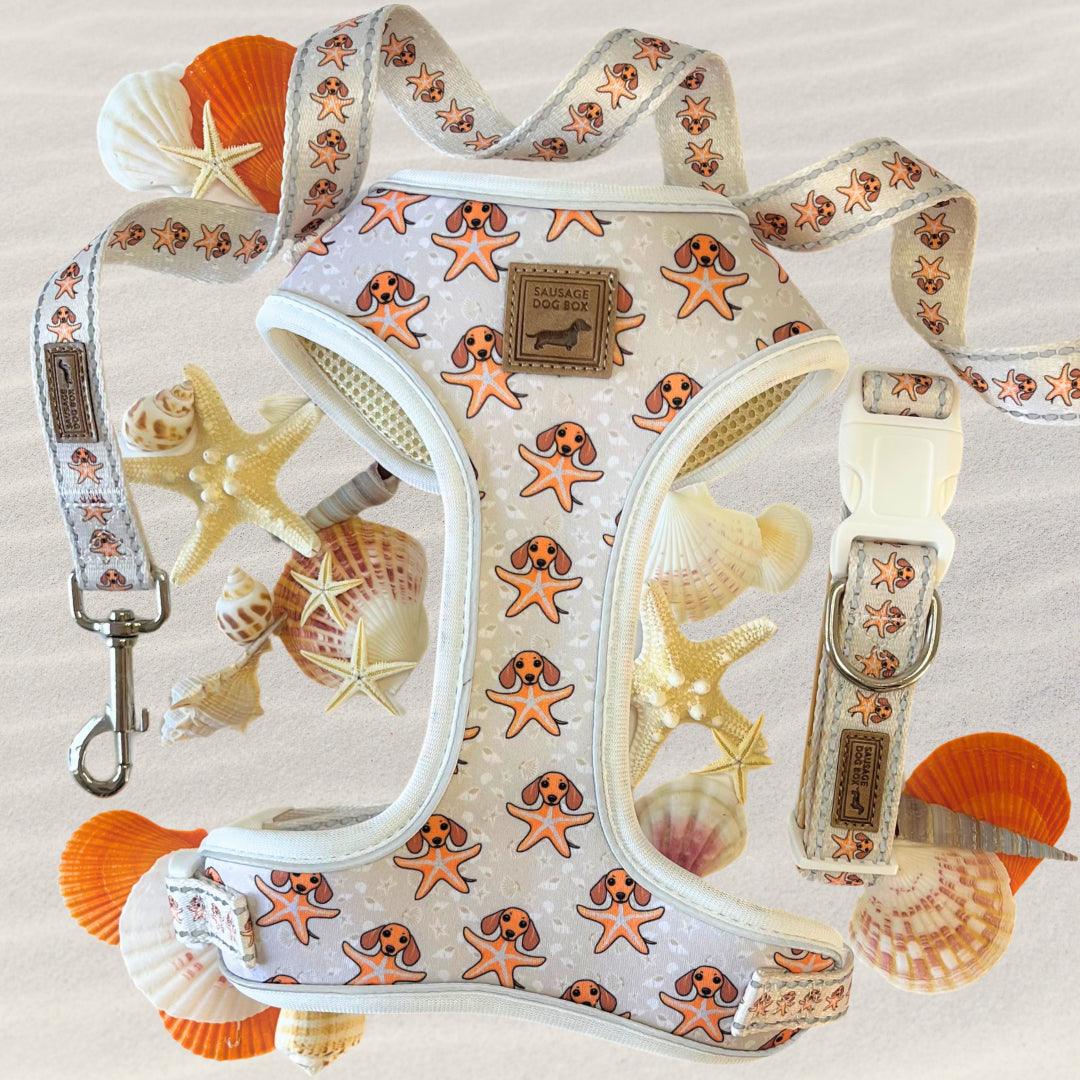 Anti-Rub Dachshund Harness - Ahoy Star Sausage
