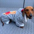 Load image into Gallery viewer, Double Fleece Dachshund Outfit - 'Jordans' BALLS 23 | Sausage Dog Box
