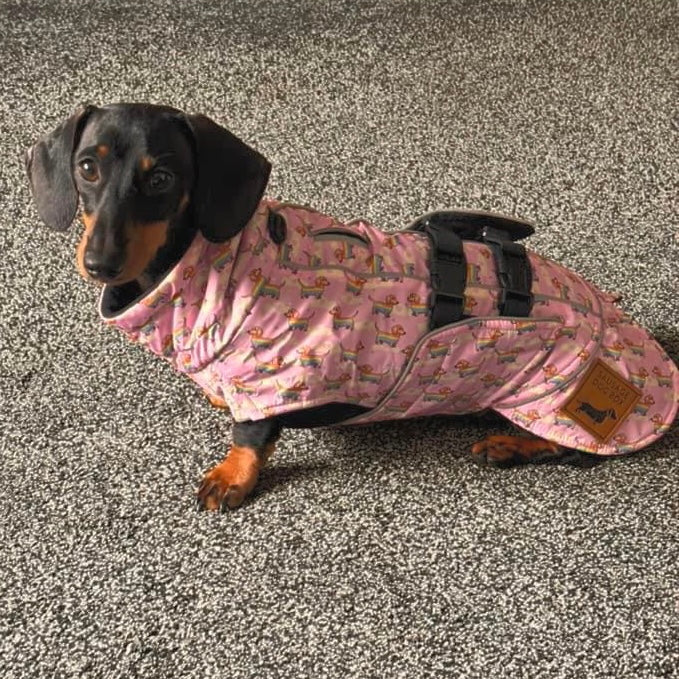 Chasing Rainbows Pink Polartec Fleece Waterproof Dachshund Coat Sausage Dog
