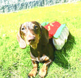 Load image into Gallery viewer, Sausage Dog Box Hot Dog Dress Up Outfit
