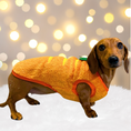 Load image into Gallery viewer, ‘The Carrot’ Dachshund Jumper PJ's | Sausage Dog Box
