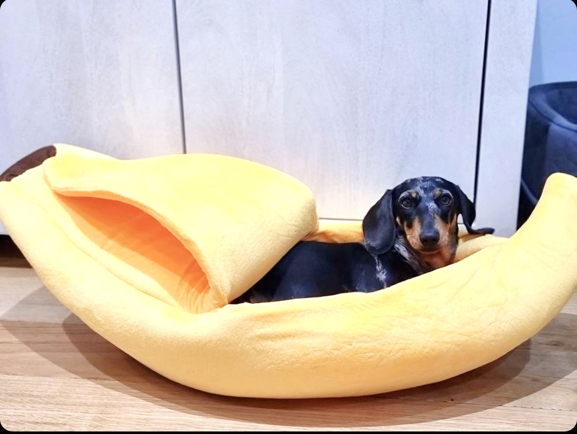 Sausage Dog Box Banana Cave Bed - SMALL
