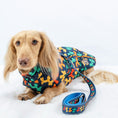 Load image into Gallery viewer, Navy Thermal Dachshund Puffer Coat With Inbuilt Harness Balloon Sausage Dog
