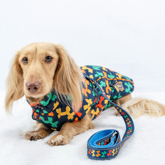 Navy Thermal Dachshund Puffer Coat With Inbuilt Harness Balloon Sausage Dog
