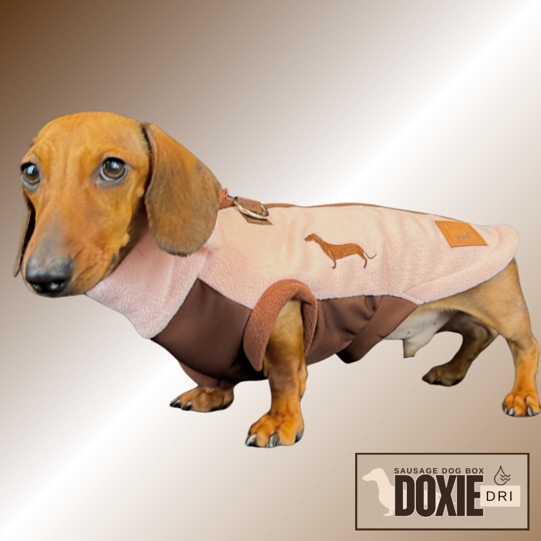 Strawberry Truffle DoxieDri Sausage Dog Harness Jumper