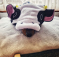 Load image into Gallery viewer, CLEARANCE - Sausage Dog Box, Dachshund Cute Cow Outfit
