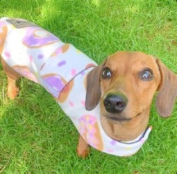 Sausage Dog Box Designer Fleece Waterproof 'Doughnut' Dachshund Coat