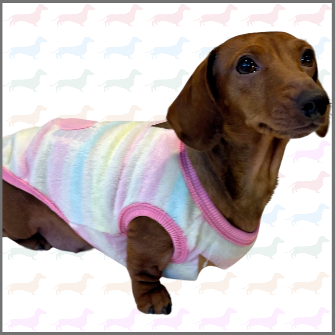 Pink & Yellow Flutter By Heart - Sausage Dog Box Dachshund PJ's/Jumper