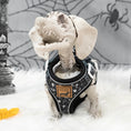 Load image into Gallery viewer, Twilight Doxie Sausage Dog Anti-Rub Harness
