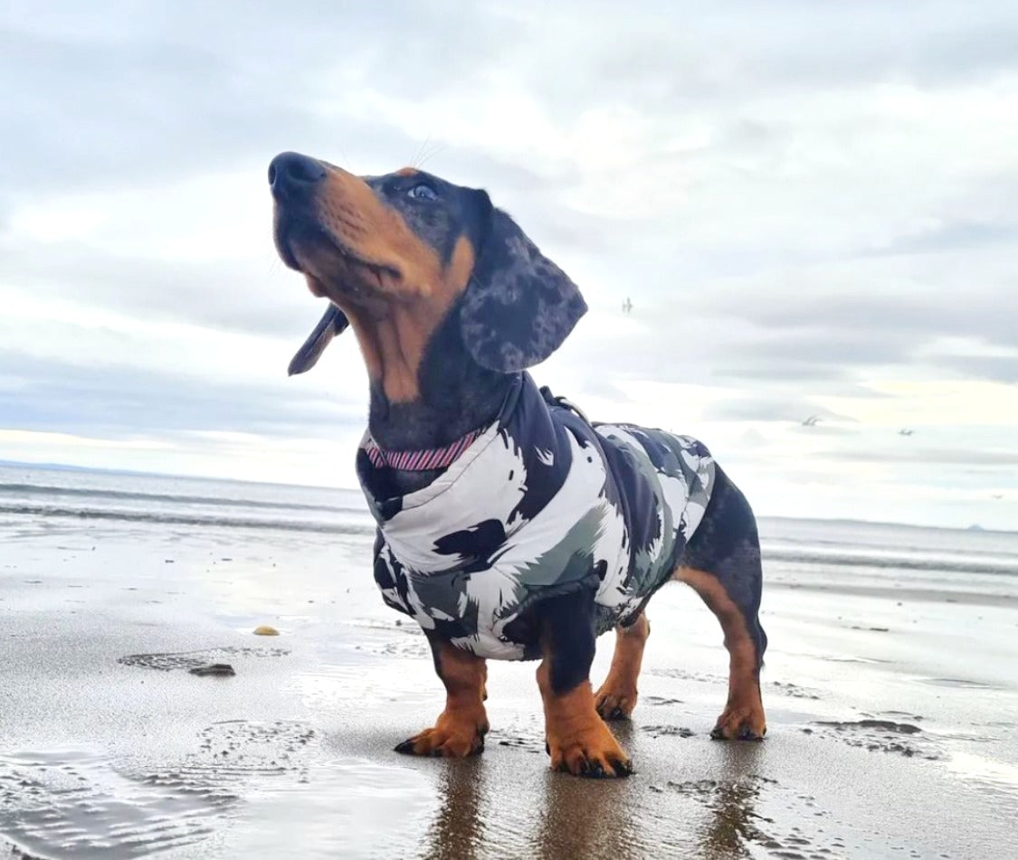 CLEARANCE - Sausage Dog Box Waterproof Step In Puffer Coat - Khaki Print
