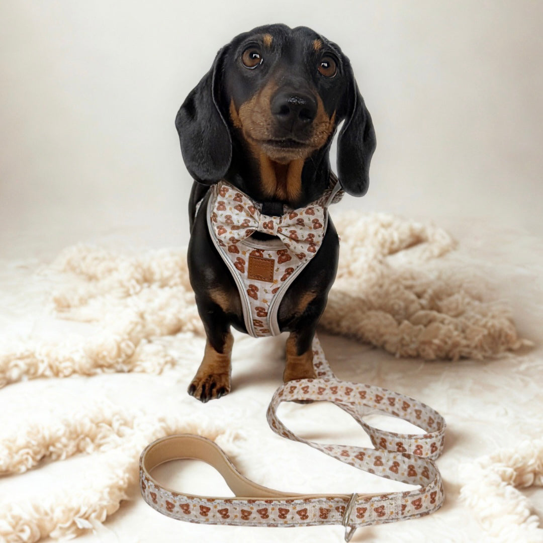 Honey Bear DoxieLite Sausage Dog Anti-Rub Harness