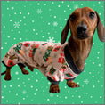 Load image into Gallery viewer, Happy Holidogs Dachshund Christmas PJ Outfit

