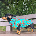 Load image into Gallery viewer, Top Dog Teal Circus Dachshund Fleece Jumper / Sweater | Sausage Dog Box
