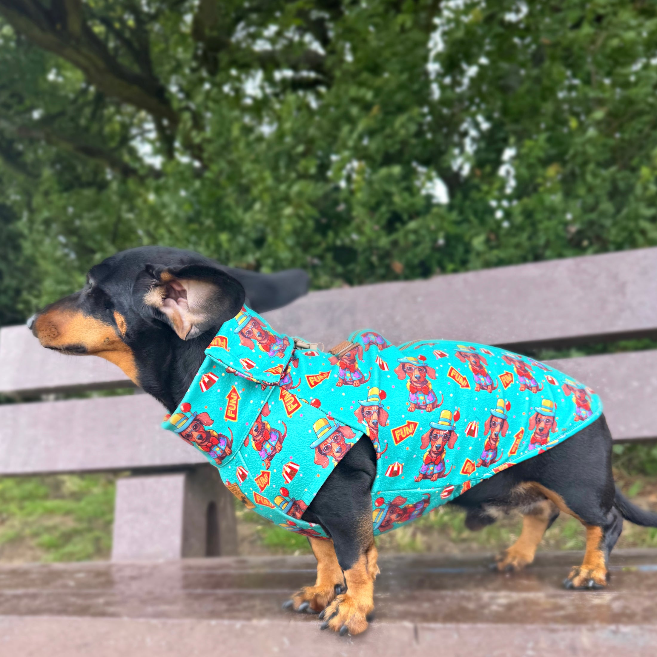 Top Dog Teal Circus Dachshund Fleece Jumper / Sweater | Sausage Dog Box